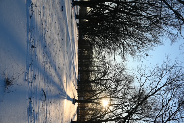 a snow covered ground with trees and blue sky